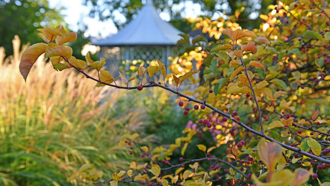 Pavillon im Herbst 